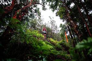 BIB: 
                            <button type="button" onclick="openModal(26201048)" class="btn btn-primary btn-sm float-right btn-popup" data-toggle="modal" data-target=".modal-high-quality">
                        <i class="fas fa-shopping-cart"></i> Add to Cart
                    </button>
                                            <button type="button" onclick="isThisMe(26201048, true)" class="btn btn-success btn-sm float-right btn-popup btn-isme hidden" data-toggle="tooltip" data-placement="bottom" title="นี่คือรูปของคุณใช่ไหม คลิกที่นี่เพื่อเอาเข้าอัลบั้ม">
                        <i class="fas fa-plus"></i> Add to album
                    </button>
                    <button type="button" onclick="isThisMe(26201048, false)" class="btn btn-warning btn-sm float-right btn-popup btn-isnotme hidden">
                        <i class="fas fa-ban"></i> Remove from album
                    </button>